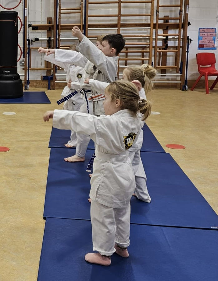 Martial Arts Children's Social Skills